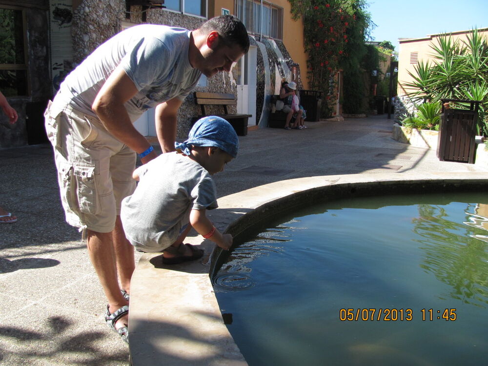 ���������� ������, ���� ������� ������, 48 ���, ������������ ��� ������