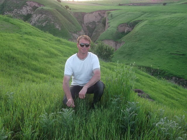 ���� 5043561 ������� 908281008, 31 ���, ���� ���������� � �������