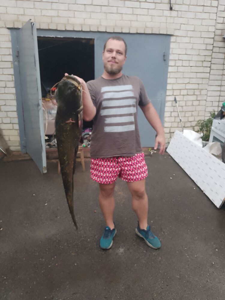 ���������� �����, ���� ������� ���������, 31 ���, ������������ ��� ������, ����� � ���������