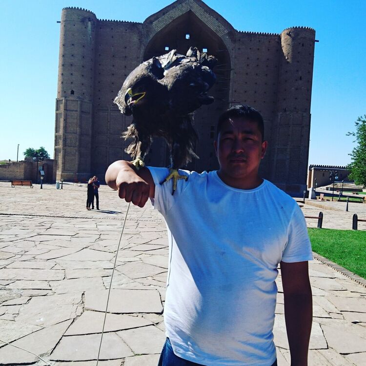 ���������� �������, ���� ������� ����, 36 ���, ������������ ��� ������, ����� � ���������, c�������� ���������