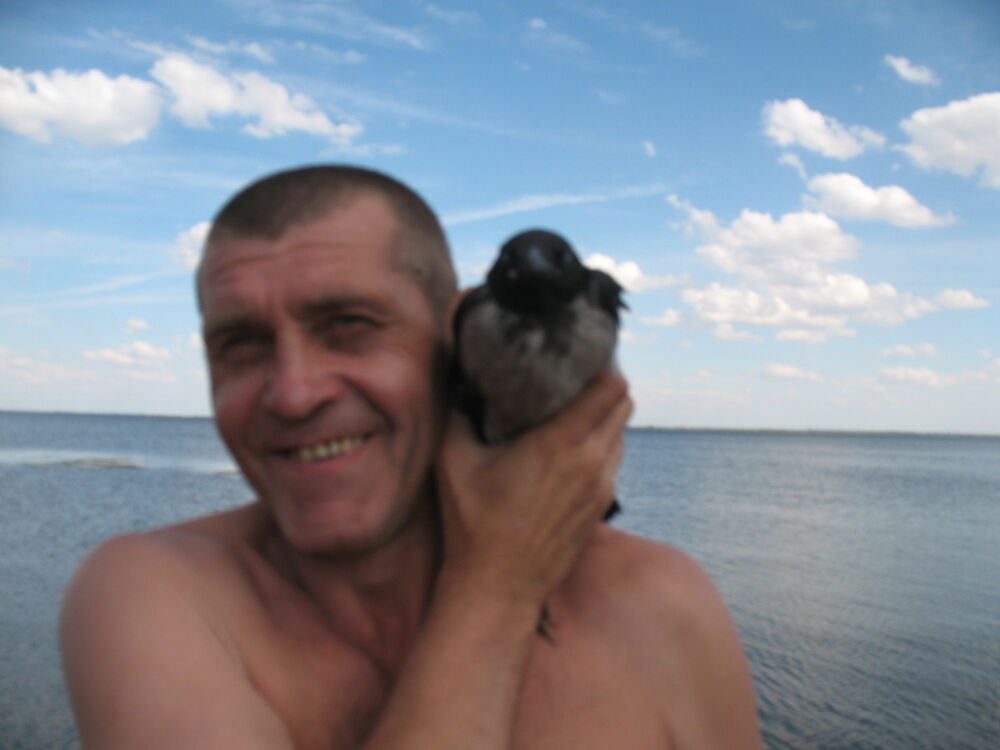 ���� 5497871 ������� ������, 61 ���, ���� ���������� � ��������