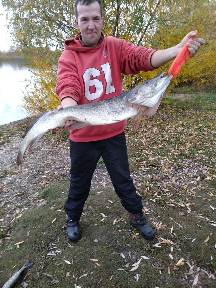 ���������� �������, ���� ������� �������, 31 ���, ������������ ��� ������, ����� � ���������, c�������� ���������, ���������