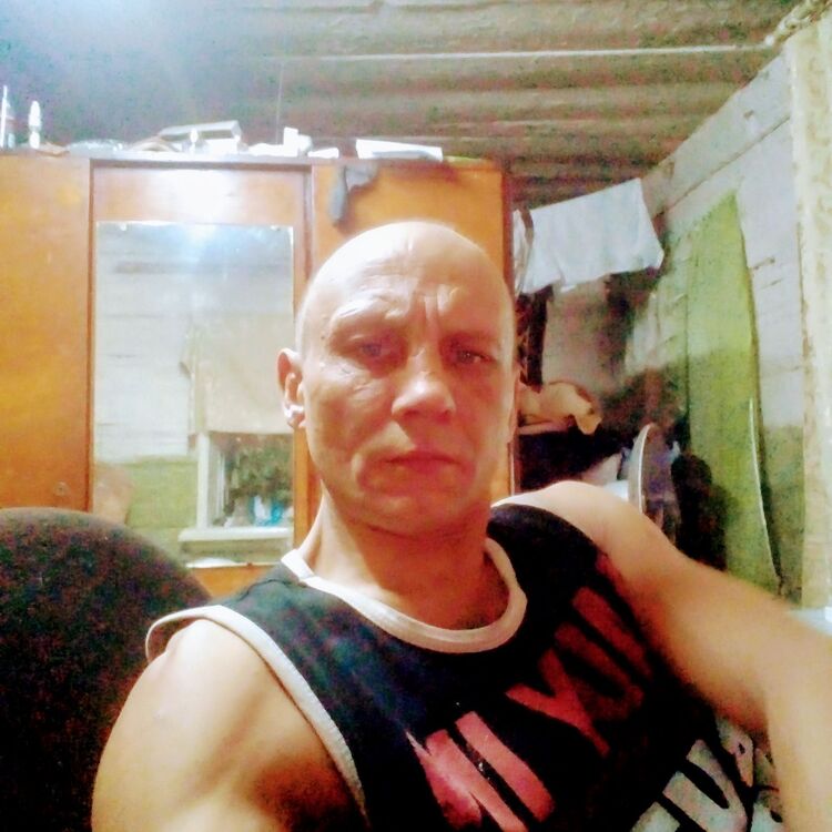  24624661  , 46 ,    