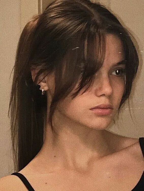  33454021  , 20 ,    