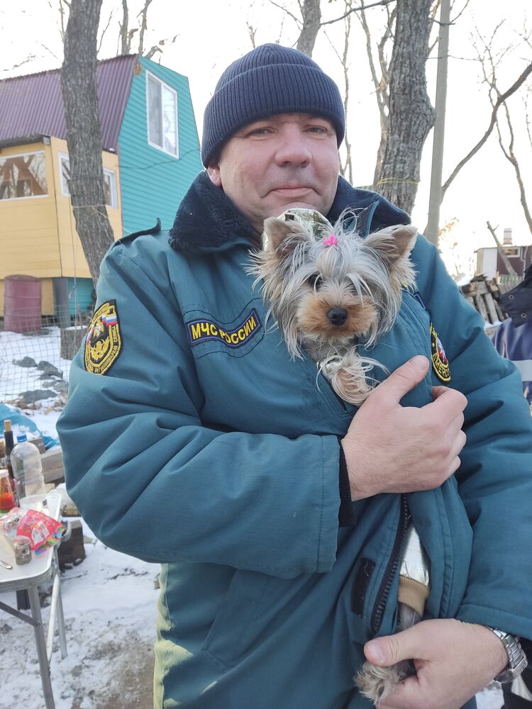 ���� 53350771 ������� �����, 52 ����, ���� ���������� � �����������