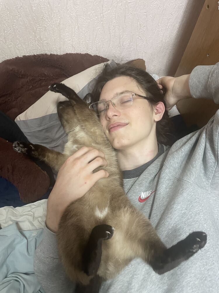 ���������� �����������, ���� ����� Nenzi, 19 ���, ������������ ��� ������, ����� � ���������, c�������� ���������, ���������