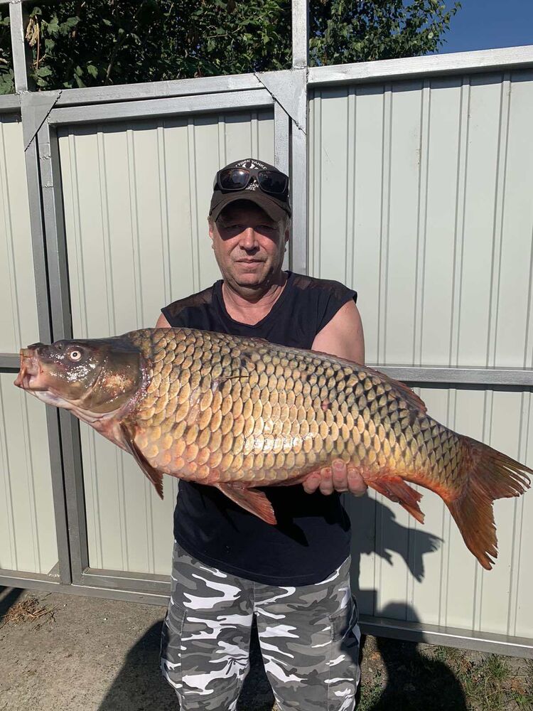 ���� 54897771 ������� ������, 54 ����, ���� ���������� � ����������