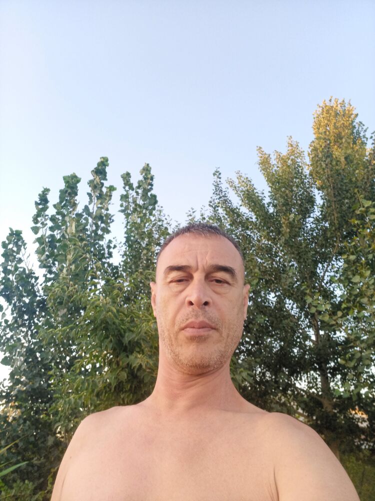  33178041  , 45 ,    