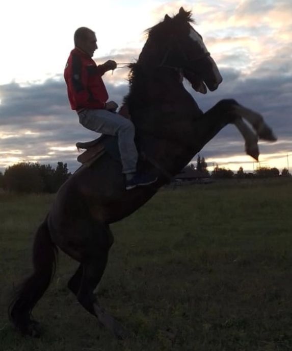  29068111  Alexander, 38 ,    