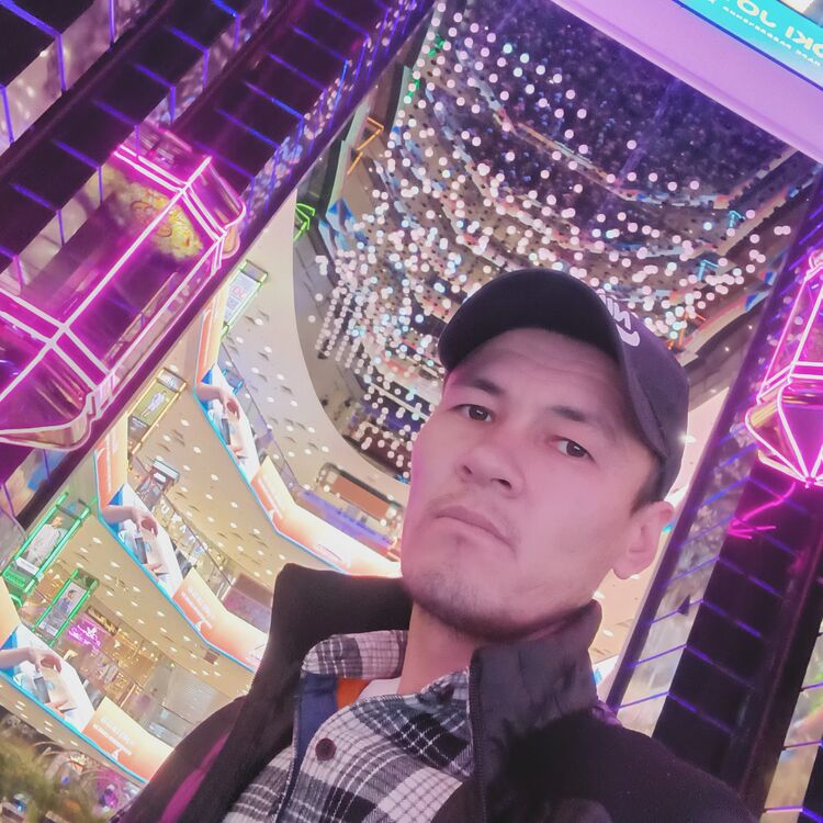 ���� 39459581 ������� ����, 32 ����, ���� ���������� � ����