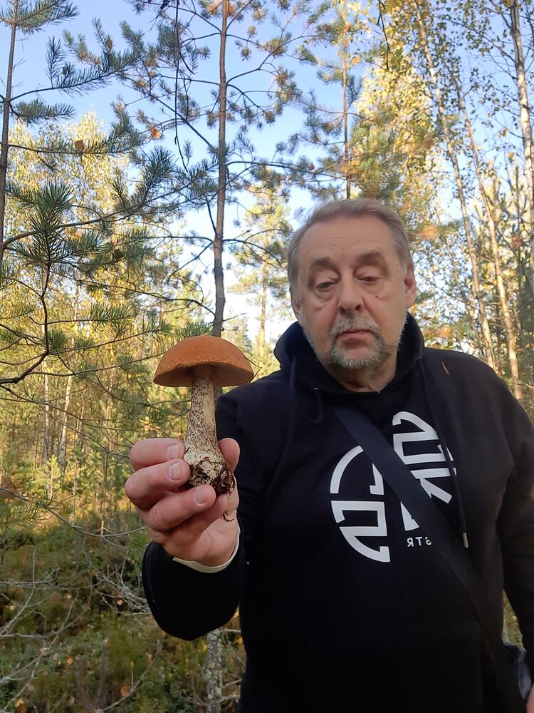 ���� 55879951 ������� ���������, 72 ����, ���� ���������� � �����-����������