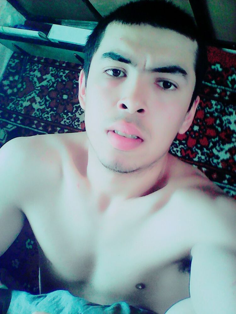  9539951  , 28 ,    