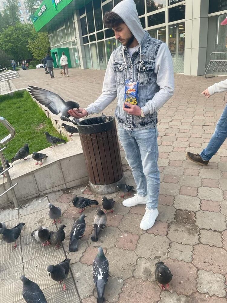 ���� 29377951 ������� Ararat, 28 ���, ���� ���������� � ������