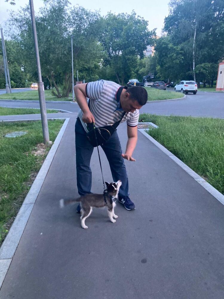 ���������� ������, ���� ������� ������, 45 ���, ������������ ��� ������, ����� � ���������