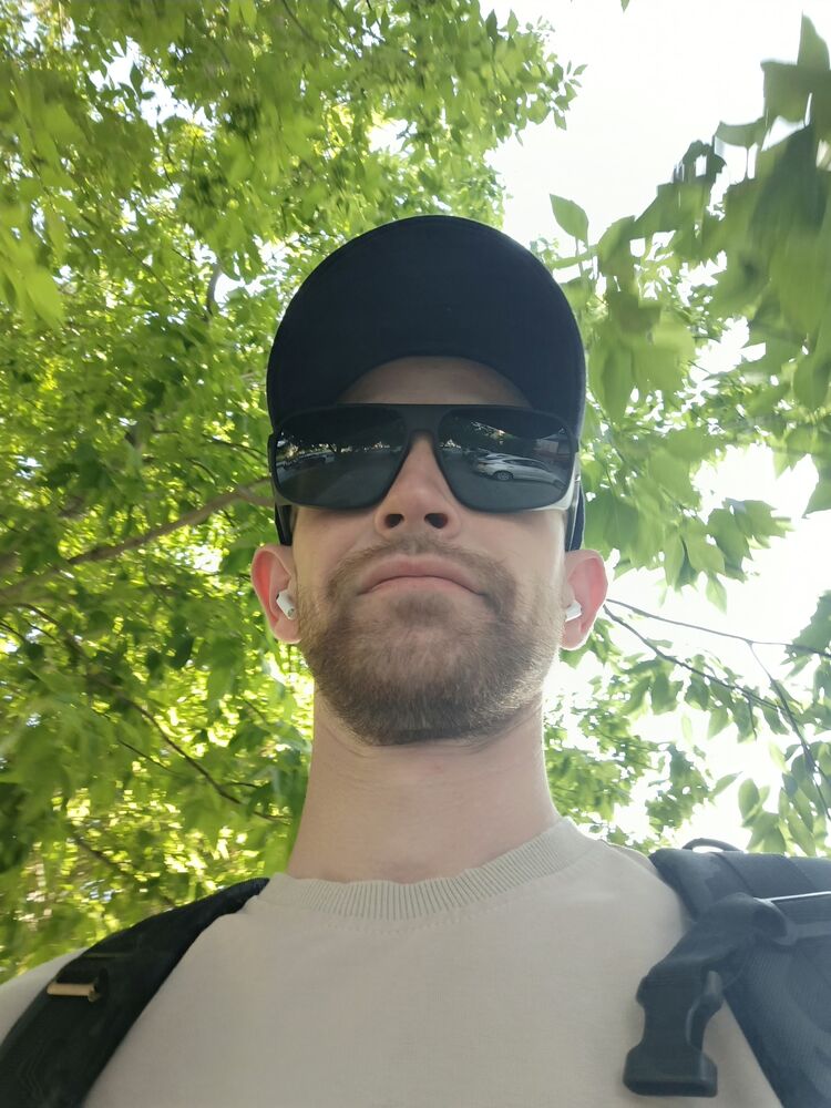  53308351  , 31 ,    