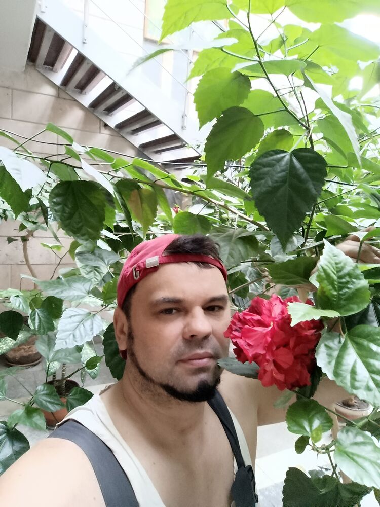  54682171  Alex, 40 ,    