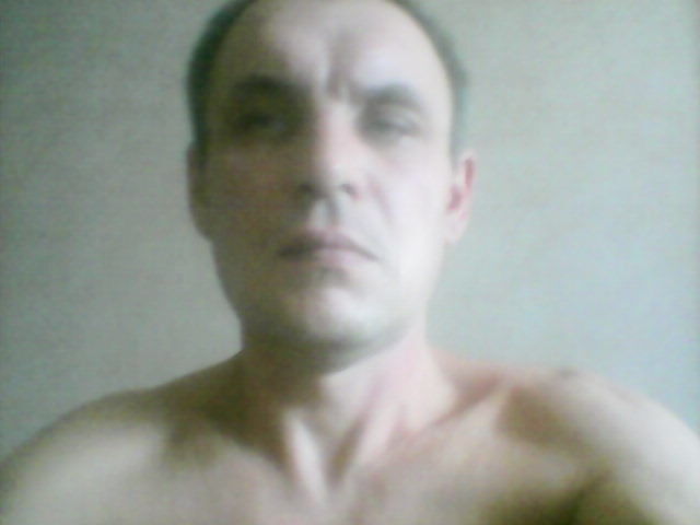 ���� 8665311 ������� �������, 50 ���, ���� ���������� � �������