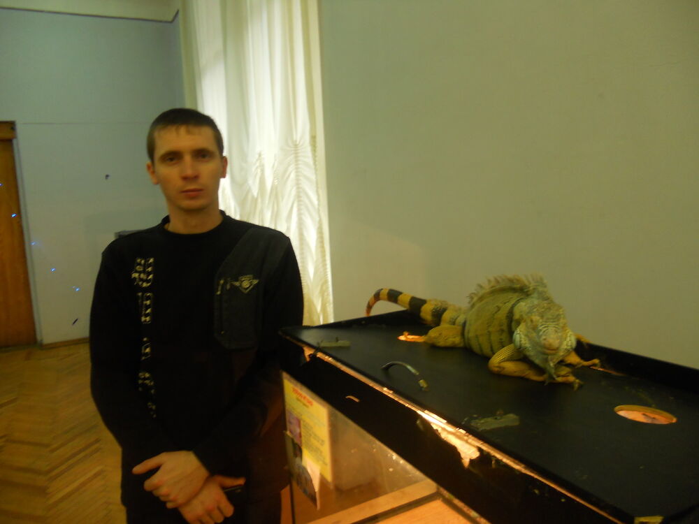 ���� 15937971 ������� ������, 40 ���, ���� ���������� � ��������