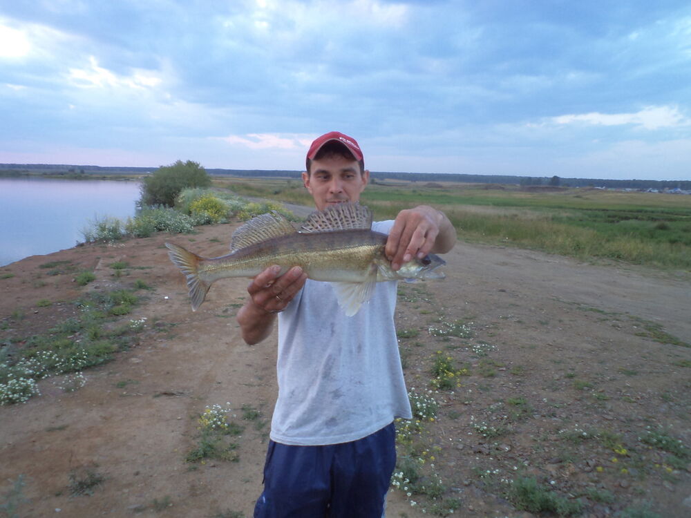 ���������� ���������, ���� ������� �������, 50 ���, ������������ ��� ������