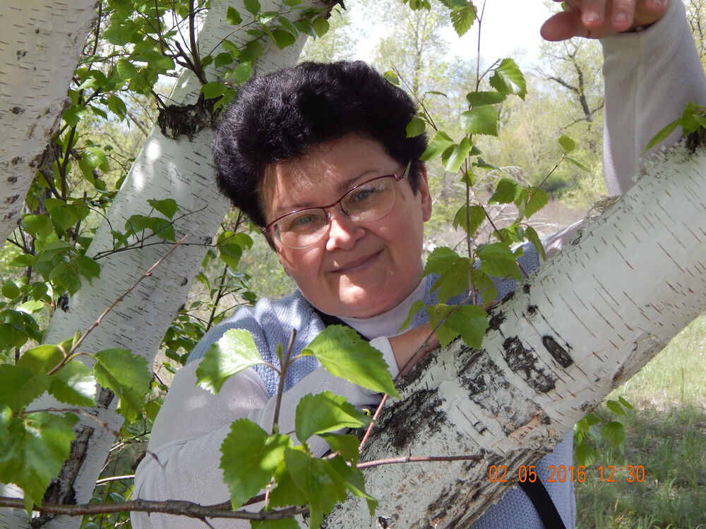 ���� 56235871 ������� �������, 65 ���, ���� ���������� � ����������