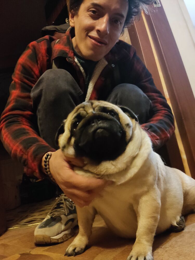 ���������� �����-���������, ���� ������� �������, 38 ���, ������������ ��� ����� � ���������, c�������� ���������