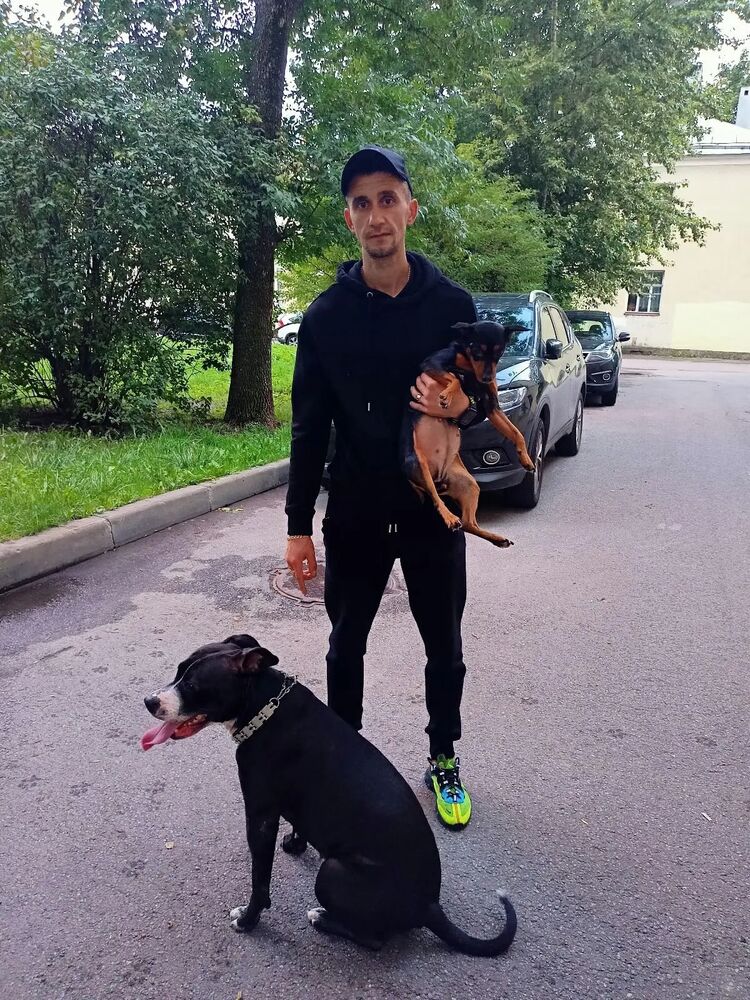 ���� 30140641 ������� ����, 40 ���, ���� ���������� � �����-����������