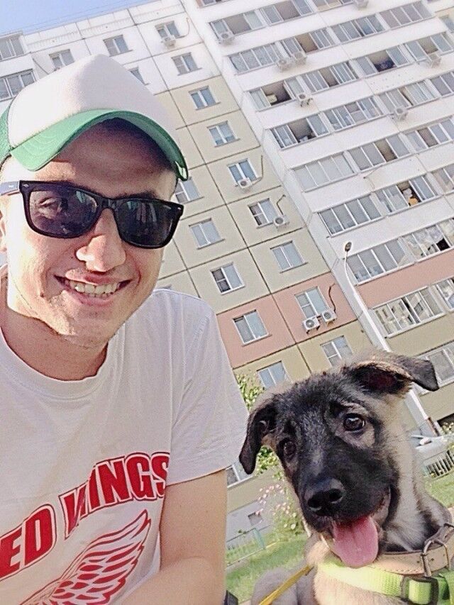 ���� 9184451 ������� ���������, 36 ���, ���� ���������� � ���������