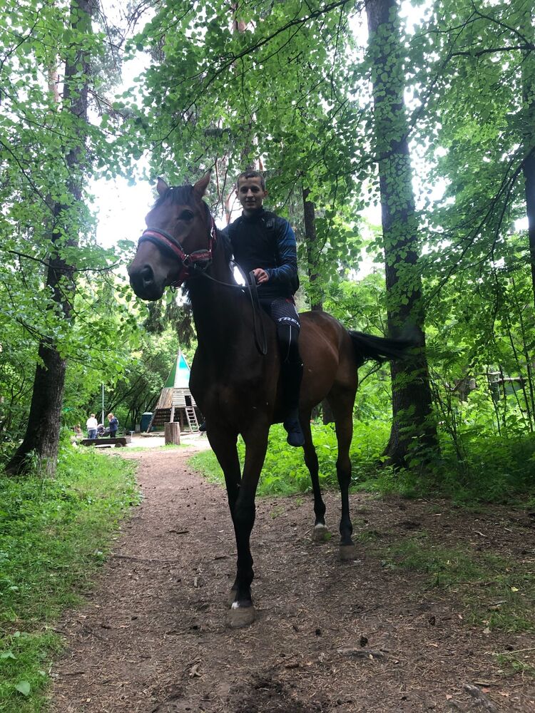 ���������� �����, ���� ������� ����, 34 ����, ������������ ��� ����� � ���������, c�������� ���������