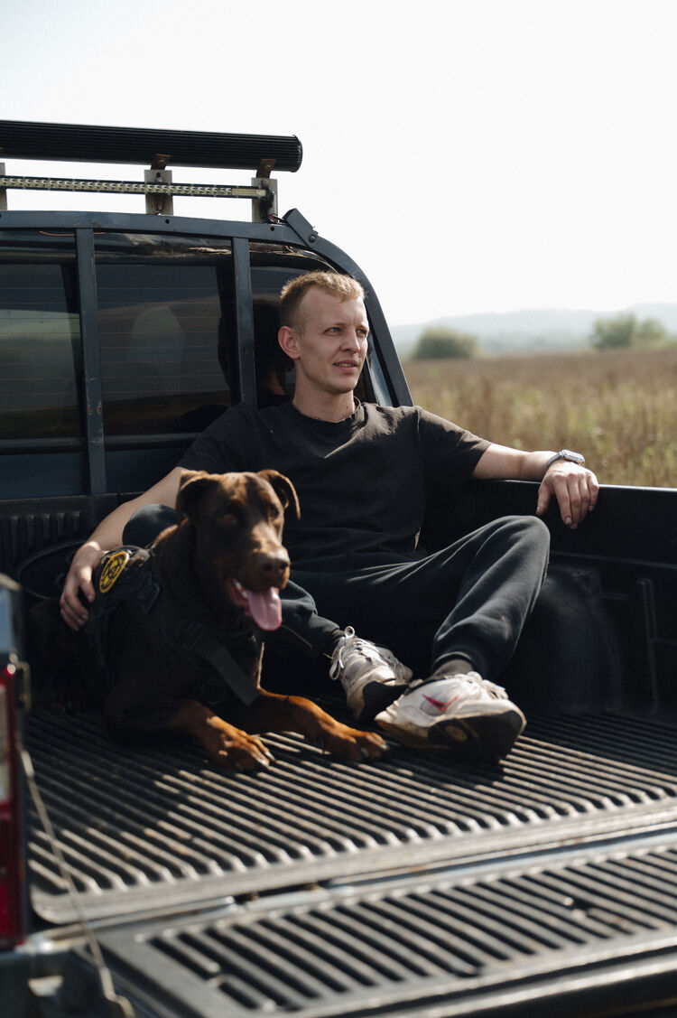 ���������� ���������, ���� ������� ���������, 29 ���, ������������ ��� ������, ����� � ���������