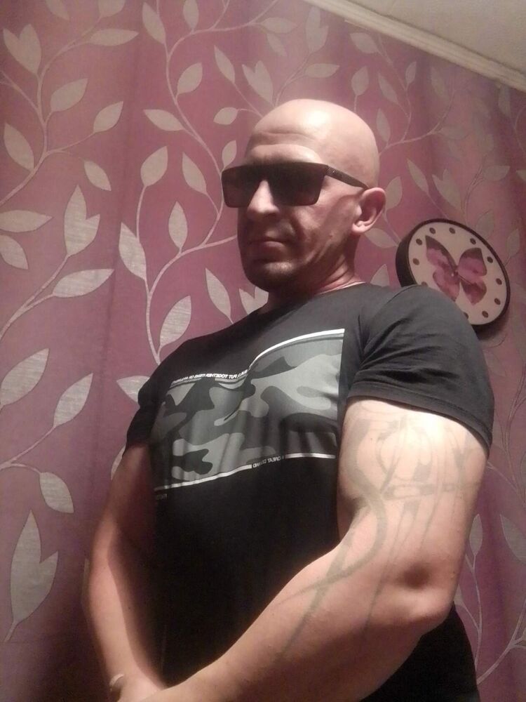  41664801  , 44 ,    
