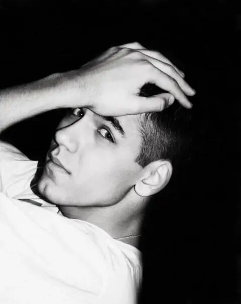  33821241  , 41 ,    -