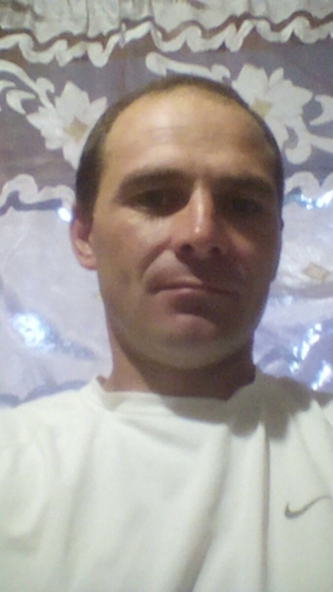 ���� 17561741 ������� Zimaura, 43 ����, ���� ���������� � ������