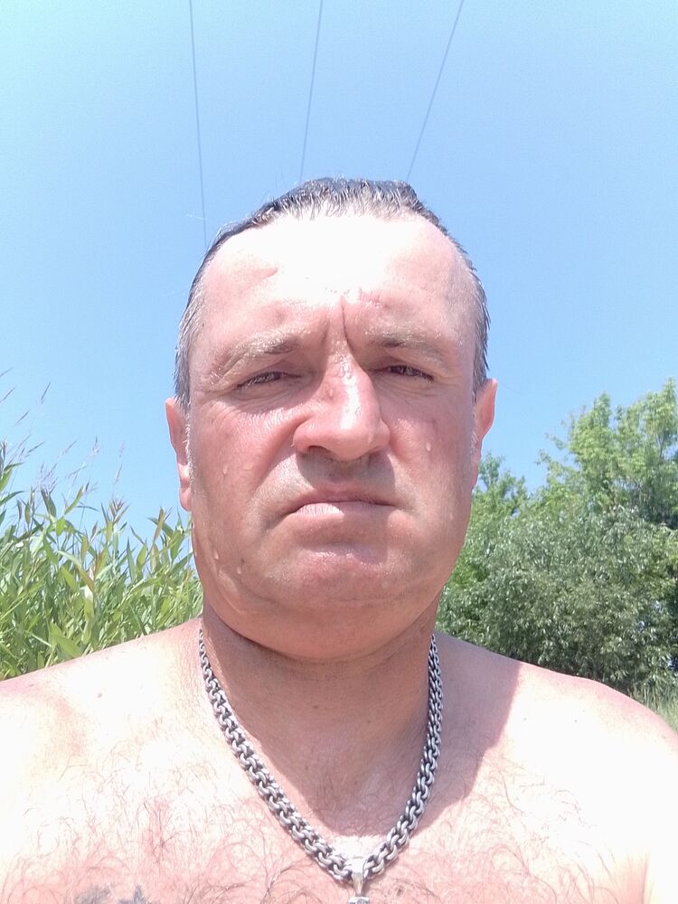  36851651  , 50 ,    