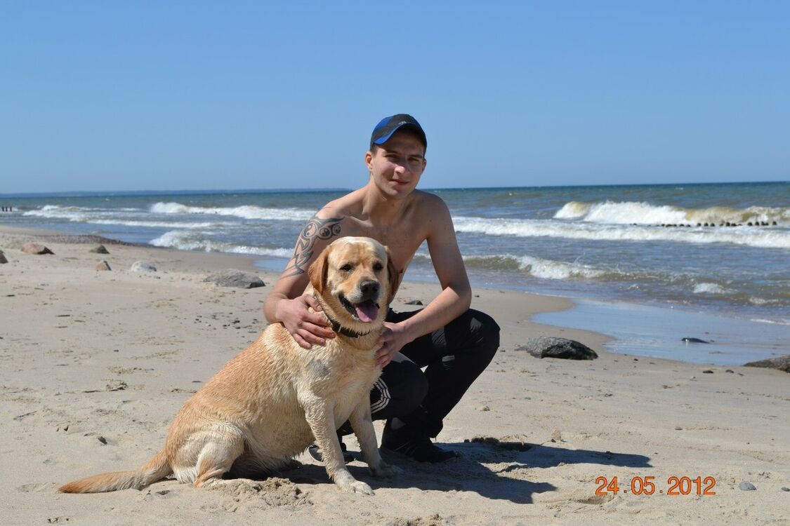 ���������� �����������, ���� ������� ���������, 34 ����, ������������ ��� ����� � ���������, c�������� ���������, ���������