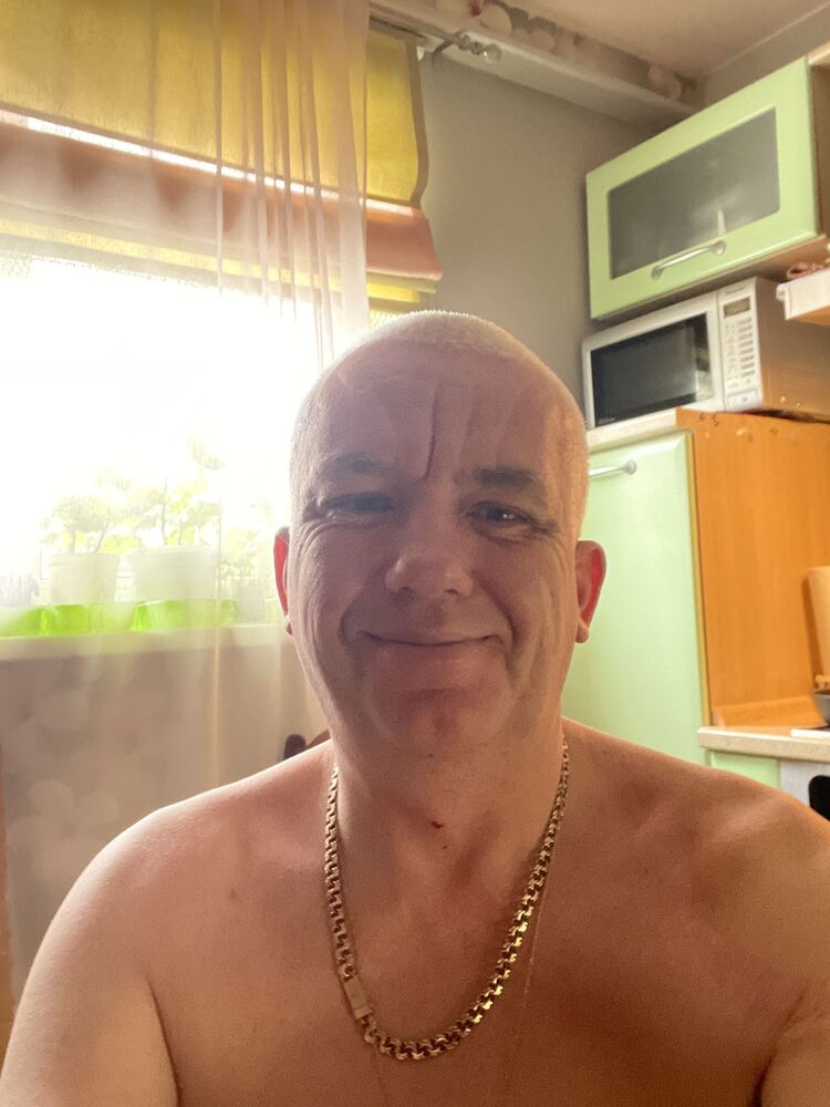  42131641  , 44 ,    