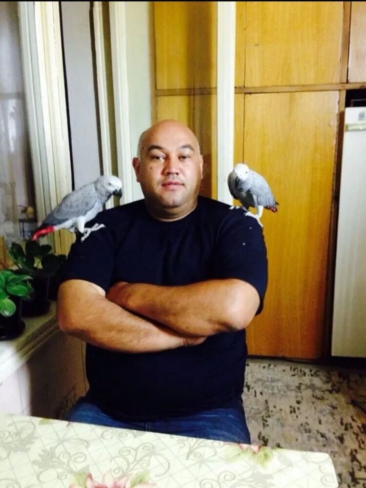 ���� 56008311 ������� Kamol, 49 ���, ���� ���������� � ��������