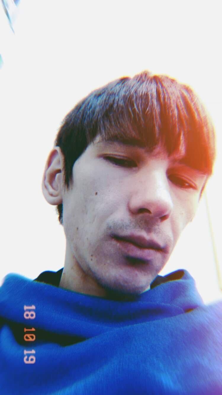  31321361  , 35 ,    