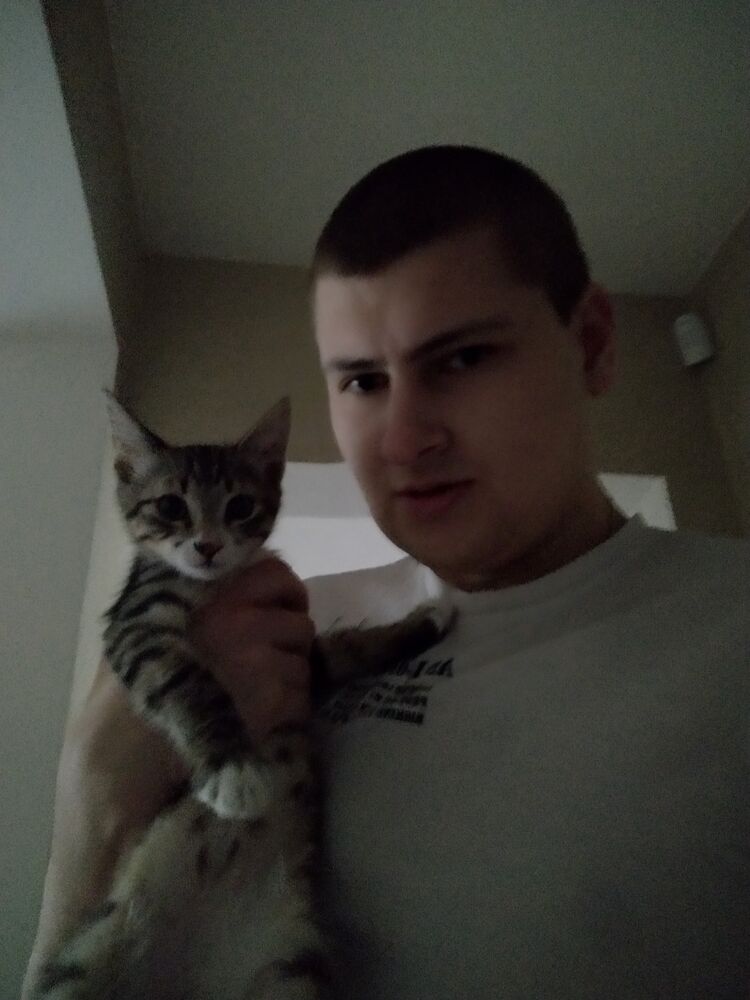 ���� 24823011 ������� �������, 31 ���, ���� ���������� � ���������