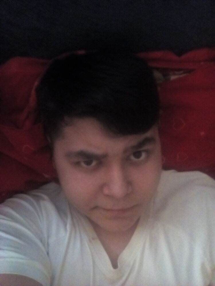  9934171  , 26 ,    