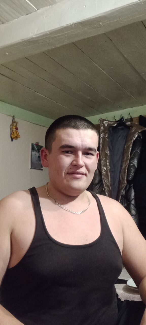  28134681  , 31 ,    