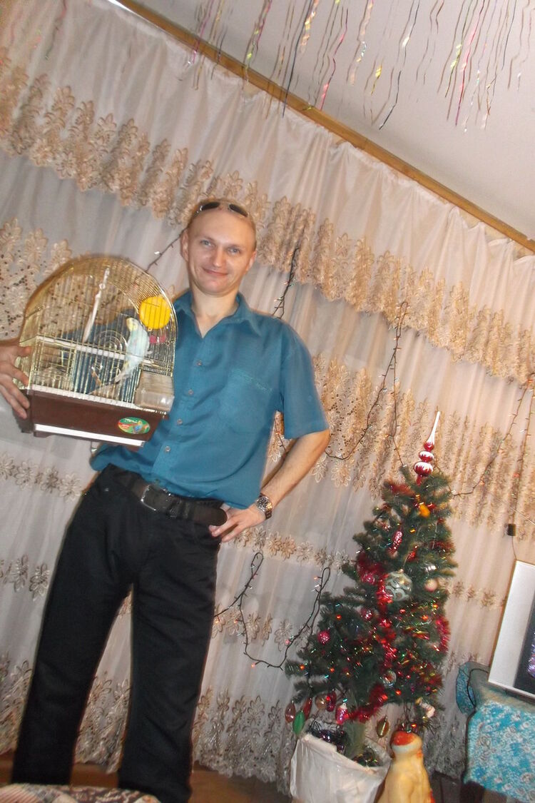 ���� 8311711 ������� ������ �����, 45 ���, ���� ���������� � ����������