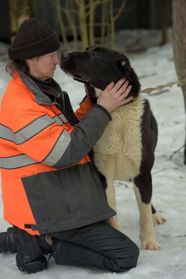  52396581  , 62 ,    -