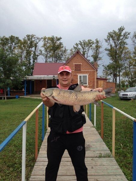  54152641  , 44 ,    --