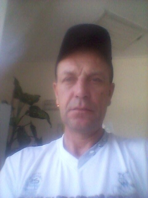  -,   , 50 ,   