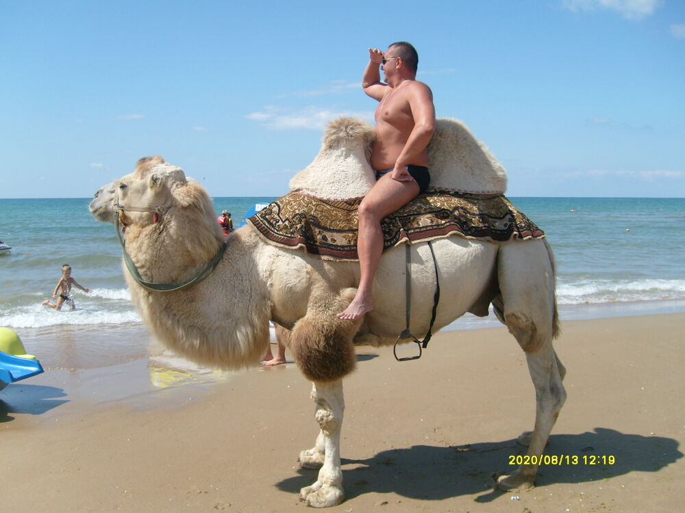 ���������� ������, ���� ������� ������, 52 ����, ������������ ��� ����� � ���������, c�������� ���������