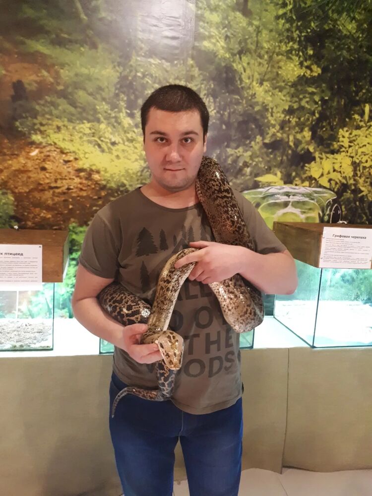 ���� 25153261 ������� ����������, 33 ����, ���� ���������� � ��������