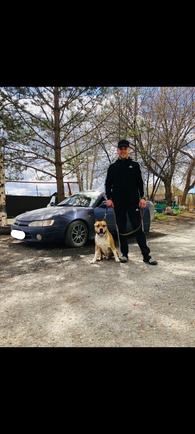 ���������� �����������, ���� ������� ������, 30 ���, ������������ ��� ������, ����� � ���������, ���������