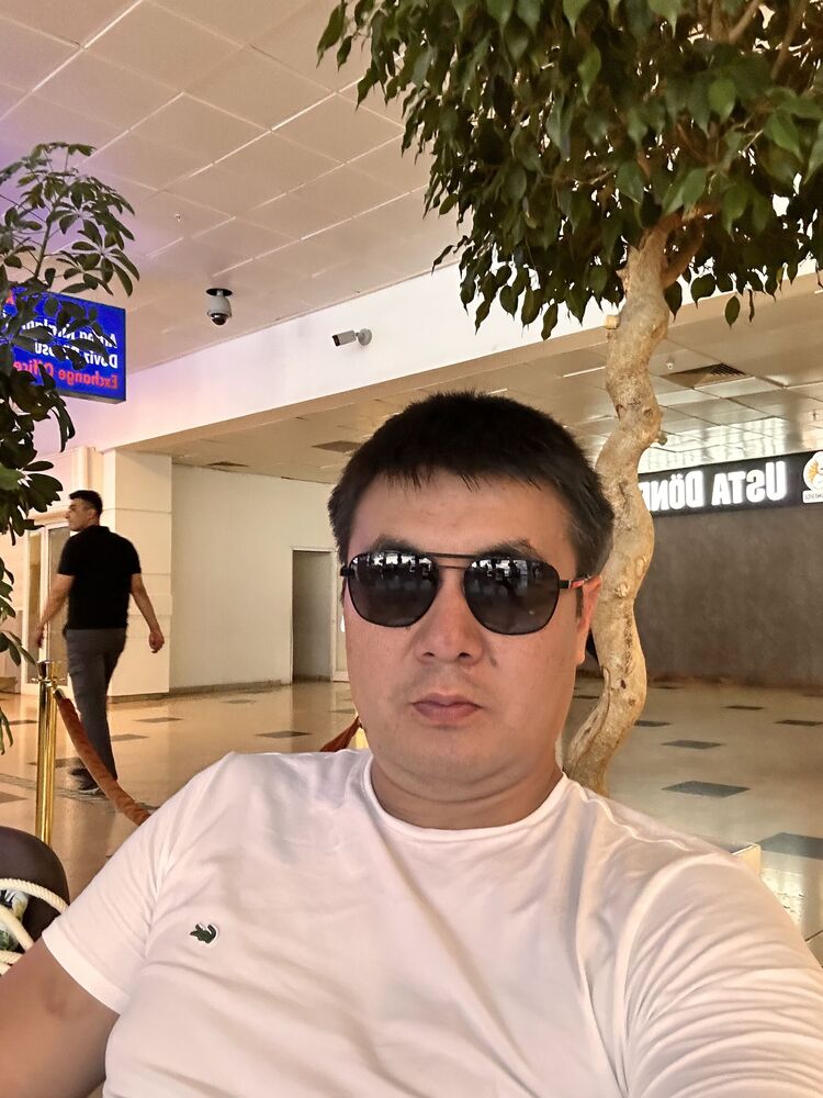 ���� 41545601 ������� ������, 40 ���, ���� ���������� � �������