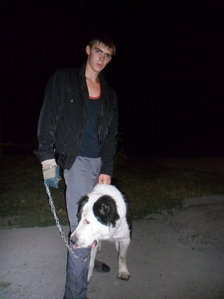 ���������� ������, ���� ������� WIKTOR, 33 ����, ������������ ��� ������, ����� � ���������, c�������� ���������