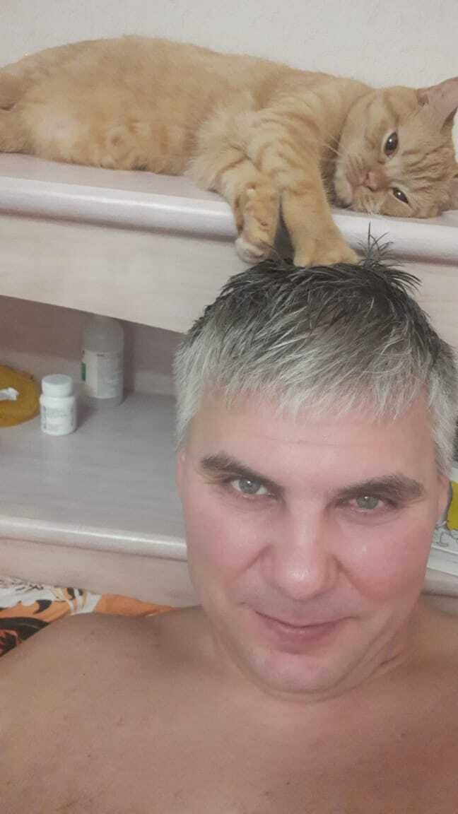   ,   , 42 ,   ,   